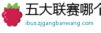 五大联赛哪个含金量高